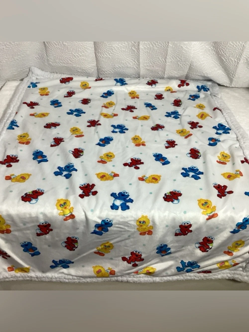 Vintage Sesame Street Babies Graphic Printed Baby Blanket Sherpa Back